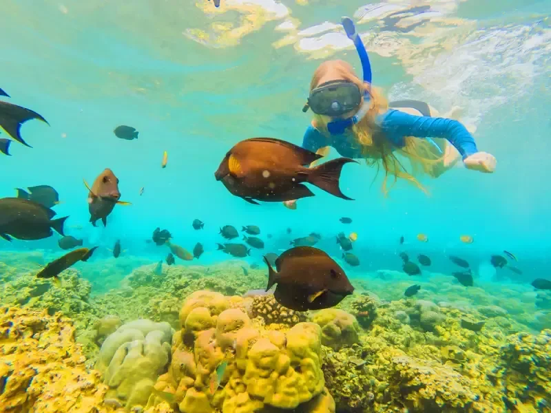 Escursione in Quad a Sharm el Sheikh